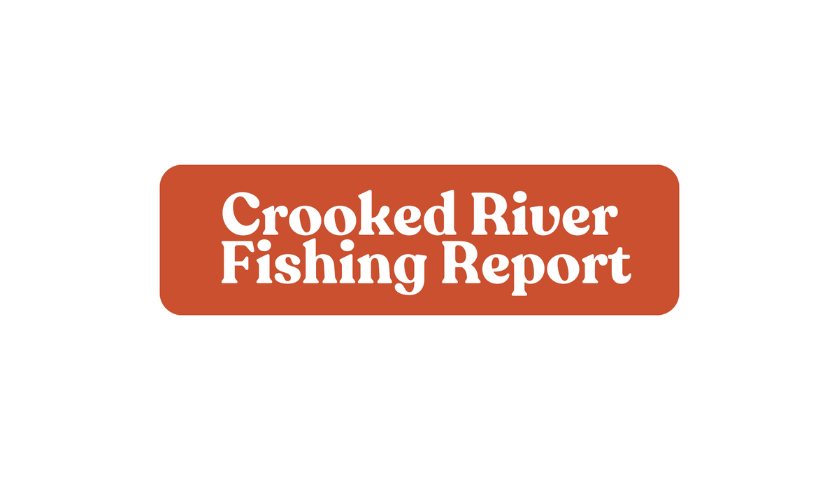 Crooked River Update November 1st, 2024 Fly and Field Outfitters