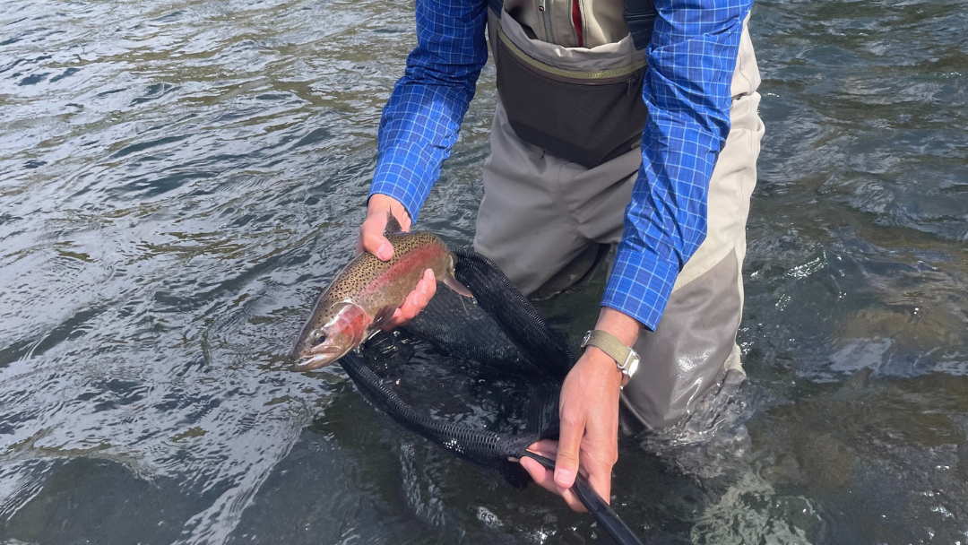 Crooked River Report 6/4/21 Fly and Field Outfitters