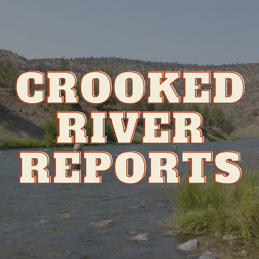 Crooked River Report Fly and Field Outfitters