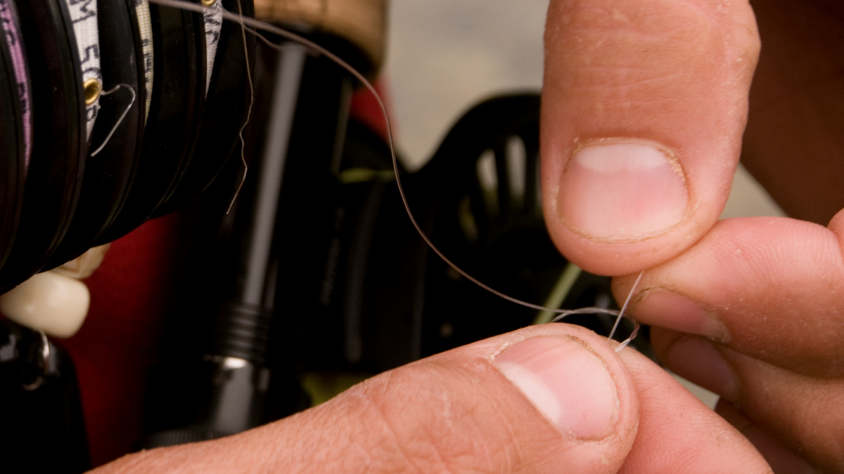 Do I Need Tippet For Fly Fishing? – Fly and Field Outfitters