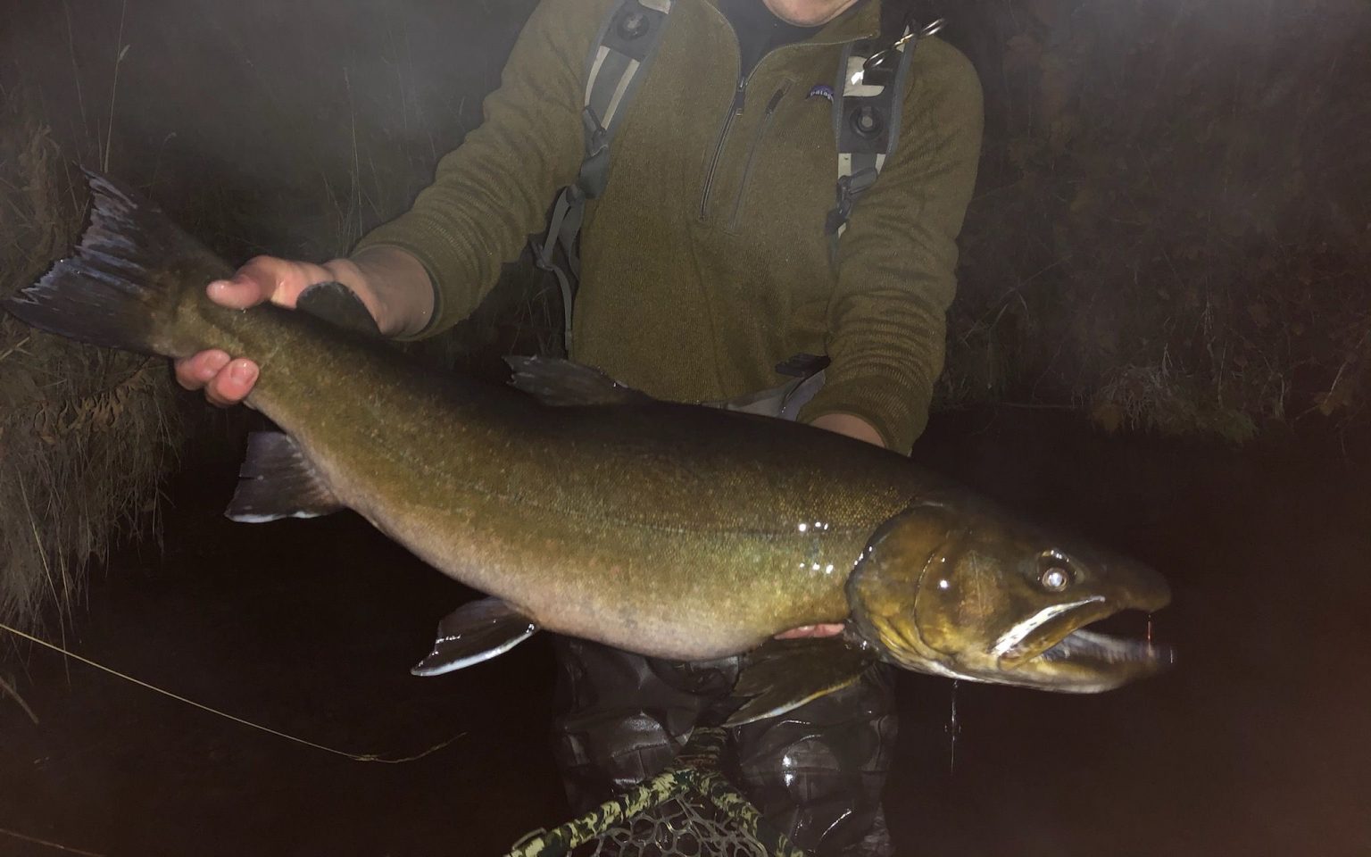bull trout lure plugs fishing metolius river may Yakima Bait Mag Lip, 3.5, Double Trouble Yakima Bait Companys Mag Lip 3.0 and 3.5 are absolute staples for Salmon and Steelhead river fishing Metolius River Bull Trout :