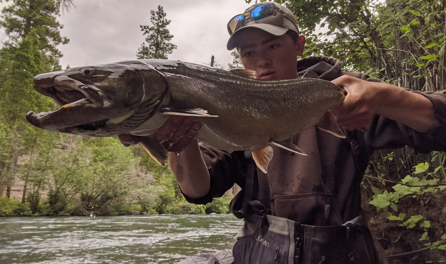 bull trout lure plugs fishing metolius river may Yakima Bait Mag Lip Yakima Bait Companys Mag Lip 3.0 and 3.5 are absolute staples for Salmon and Steelhead river fishing Fly Fishing Oregon's Metolius River