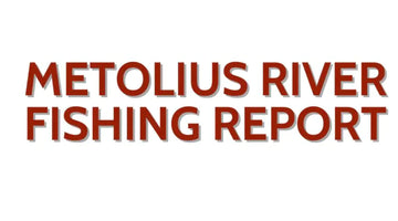 Metolius River Update February 2, 2024