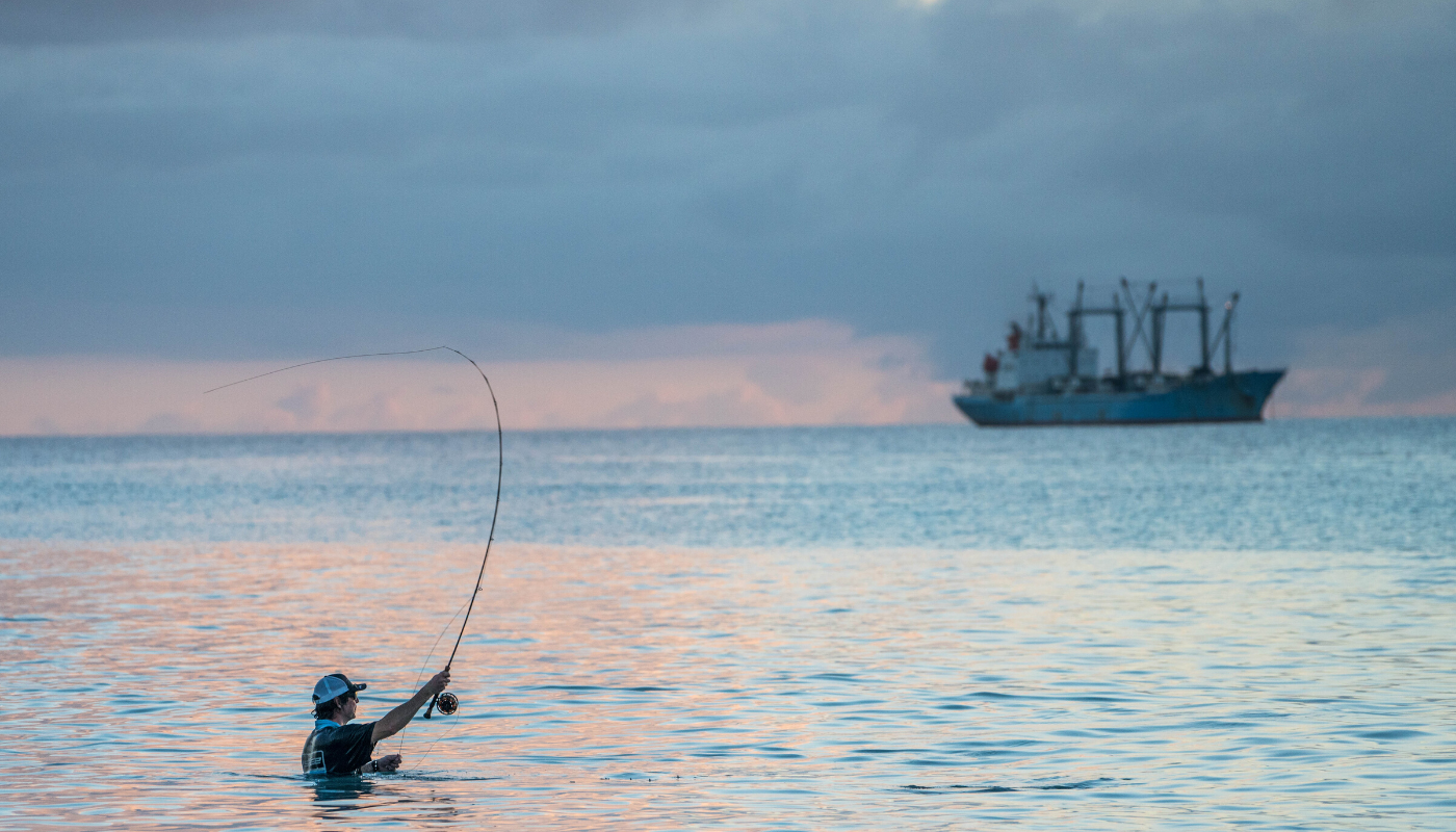 Fly Rods – Fly and Field Outfitters