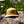 Load image into Gallery viewer, fly and field embroidered logo hats
