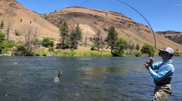Lower Deschutes Update