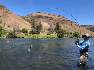 Reading Water and Finding Trout in Rivers