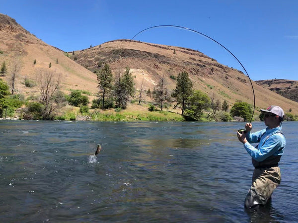 Reading Water and Finding Trout in Rivers