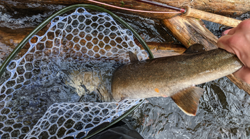 Metolius River Report 3/25/21