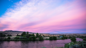 What is the Best Time to Fly Fish?