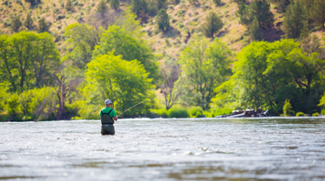 Best Time of Year to Fly Fish in Oregon