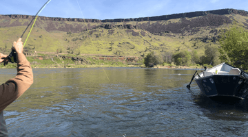 The Hatch Is Now On The Lower D!