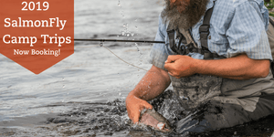 Salmonfly Camp Trips!