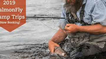 Salmonfly Camp Trips!