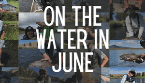 On the Water in June! A Photo Essay