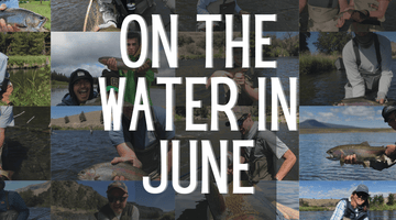 On the Water in June! A Photo Essay