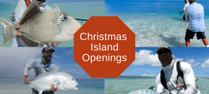 Last Minute Christmas Island Openings!
