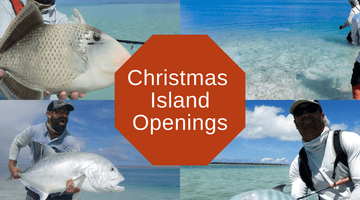 Last Minute Christmas Island Openings!