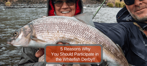 5 Reasons You Should Participate in the Whitefish Derby