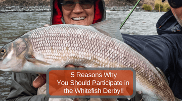 5 Reasons You Should Participate in the Whitefish Derby