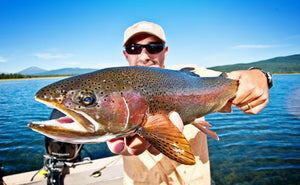 Educational Event This Week!