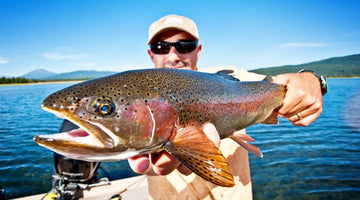 Educational Event This Week!