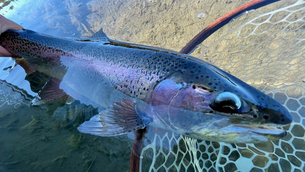 Crane Prairie Fishing Report 4/16/21