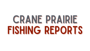 Crane Prarie Update - 4/22/22