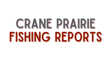 Crane Prarie Update - 4/22/22