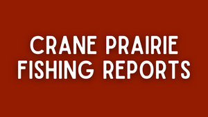 Crane Prairie Update - 5/6/22