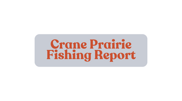 Crane Prairie Update August 30th, 2024