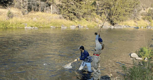 Crooked River Update