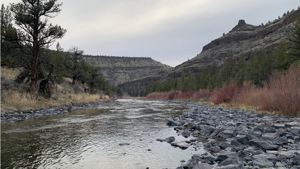 Crooked River Report 5/7/21