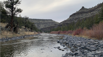 Crooked River Report 5/7/21