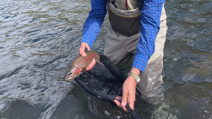 Crooked River Report 6/4/21