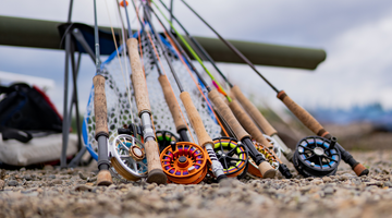 How To Get Started with Fly Fishing Gear and What Questions to Ask