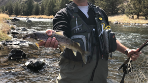 Crooked River Report 5/21/21
