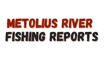 Metolius River Update 4/8/22