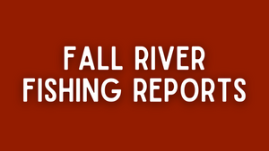 Fall River Update - 5/6/22