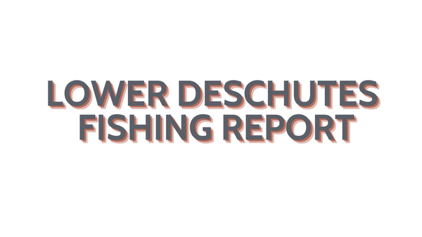 Lower Deschutes Update April 14, 2023