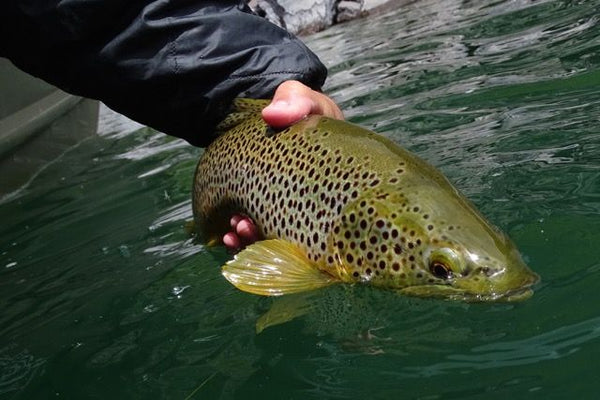 Cascade Lakes Glory