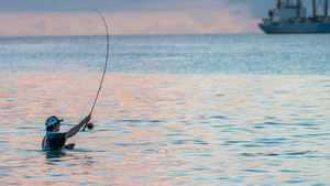 Don't Break The Bank- Buying Fly Rods in Your Budget