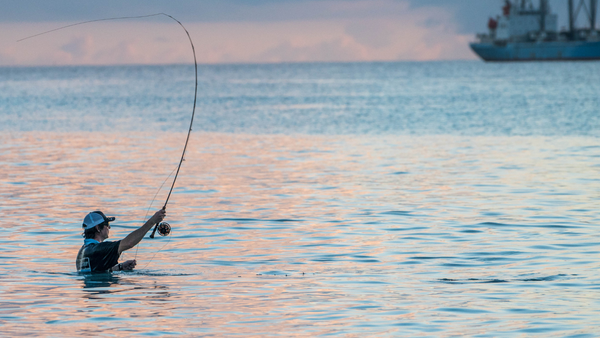 Don't Break The Bank- Buying Fly Rods in Your Budget