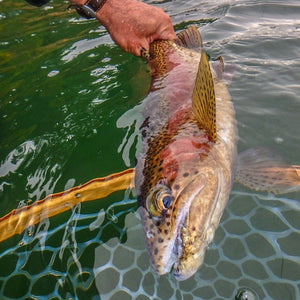 Crane Prairie Update