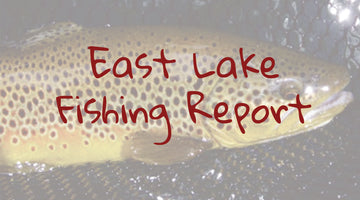East Lake Update