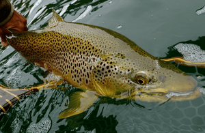 East Lake Still Fishing Well!