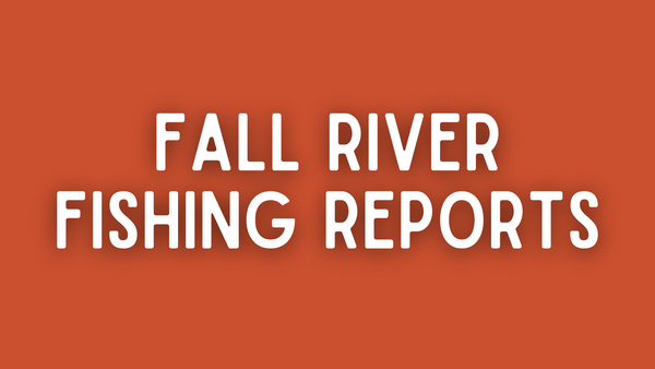Fall River Update - June 10th, 2022