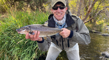 Mountain Whitefish and Why They Matter