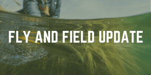 An Update from Fly and Field