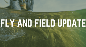 An Update from Fly and Field